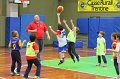 Basket + Amico Uisp (10)